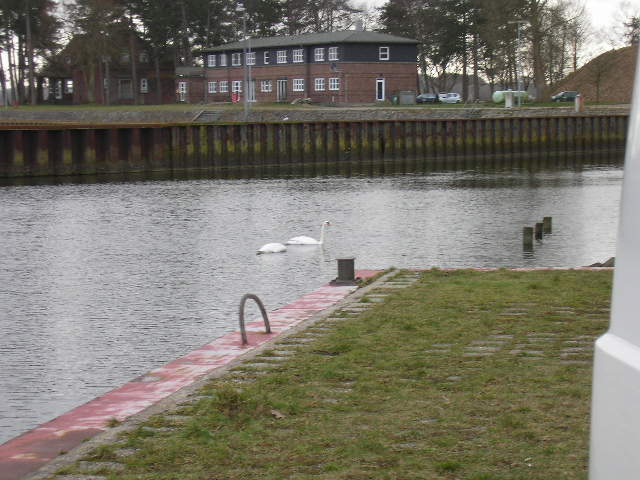 neu 020.jpg