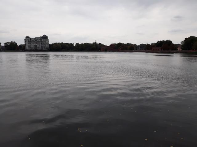 258.JPG