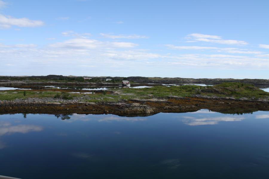 IMG_1510.JPG