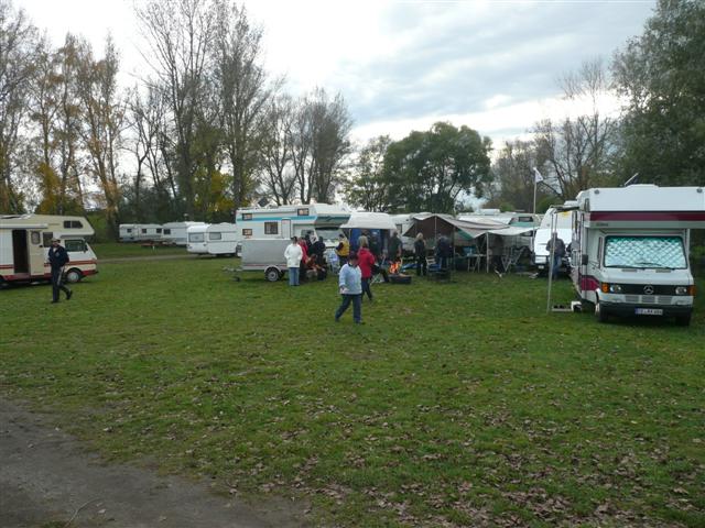 P1010254 (Small).JPG