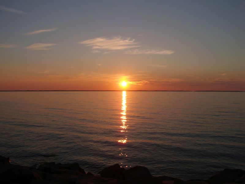 tn_DSCI0229.JPG