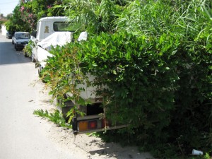 Griechenland-Umwelt-II.jpg (115.38 KiB) 1833-mal betrachtet Griechenland-Umwelt-II.jpg