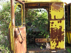 Griechenland-Umwelt-III.jpg (126.5 KiB) 1765-mal betrachtet Griechenland-Umwelt-III.jpg